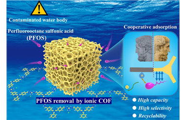 Periodic Janus structure based on ionic covalent organic framework for selective removal of perfluoroalkyl substances 2025.100652